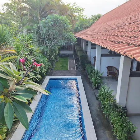 Ayu Guest House 2